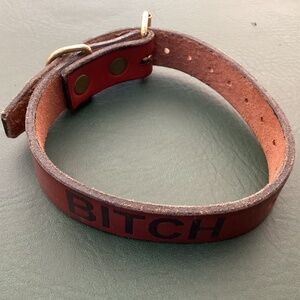 Leather Dog Collar
